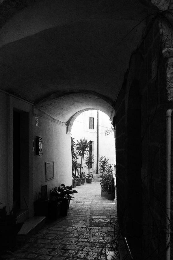 Casa de Férias A Sud House